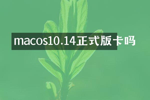 macos10.14正式版卡吗