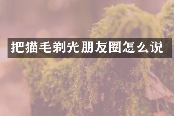 把猫毛剃光朋友圈怎么说