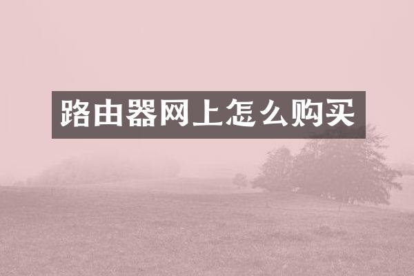 路由器网上怎么购买