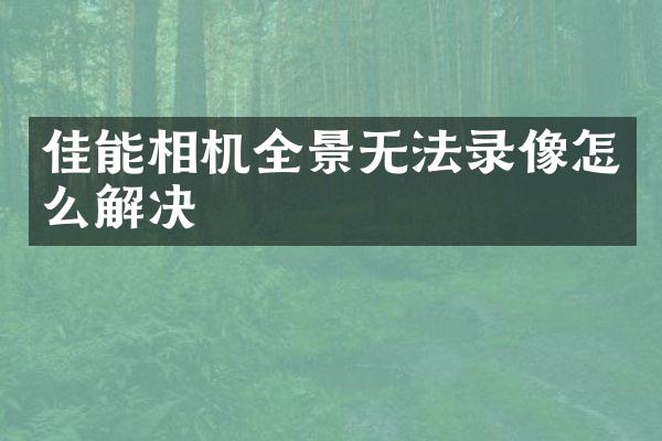 佳能相机全景无法录像怎么解决