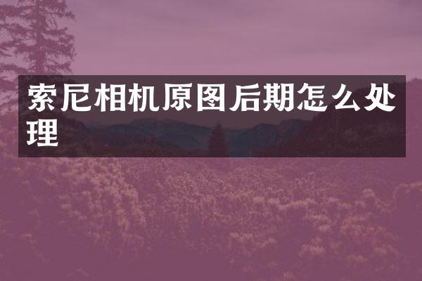 索尼相机原图后期怎么处理