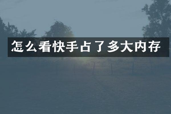怎么看快手占了多大内存