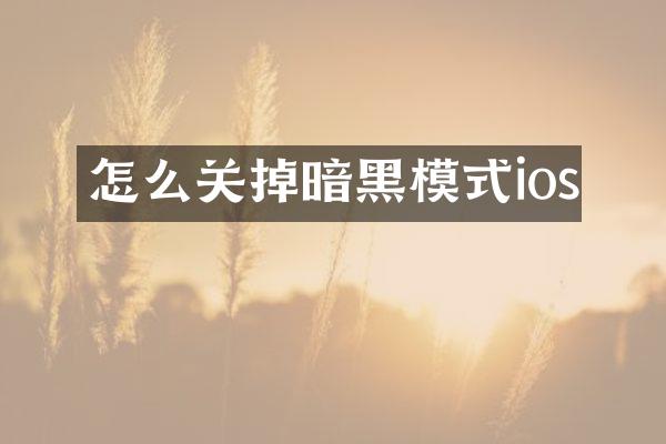怎么关掉暗黑模式ios