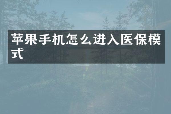 苹果手机怎么进入医保模式