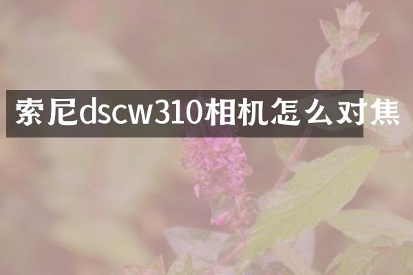 索尼dscw310相机怎么对焦