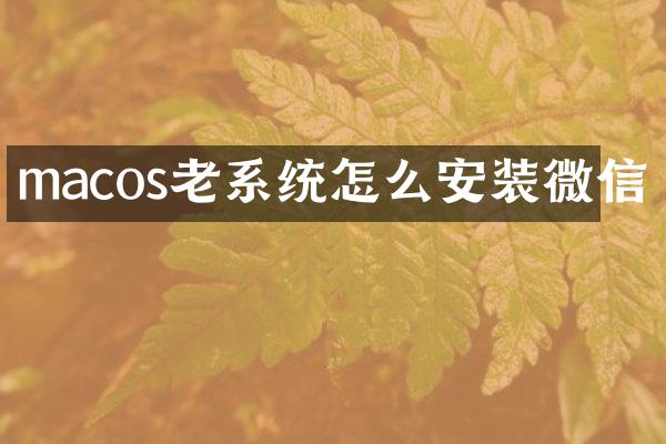 macos老系统怎么安装微信
