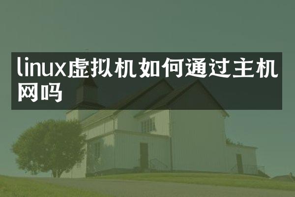 linux虚拟机如何通过主机上网吗
