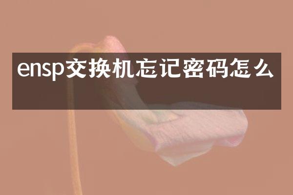 ensp交换机忘记密码怎么办