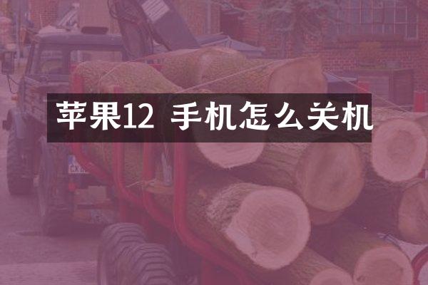 苹果12 手机怎么关机