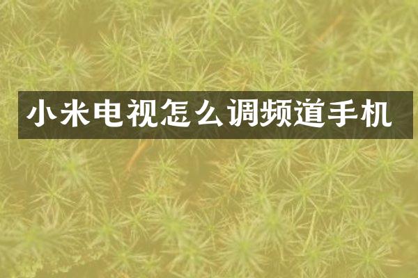小米电视怎么调频道手机