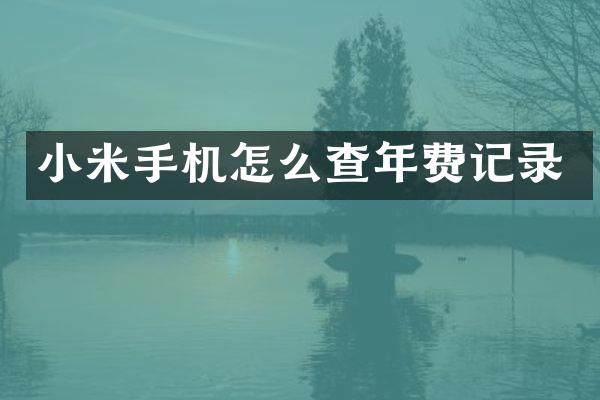 小米手机怎么查年费记录