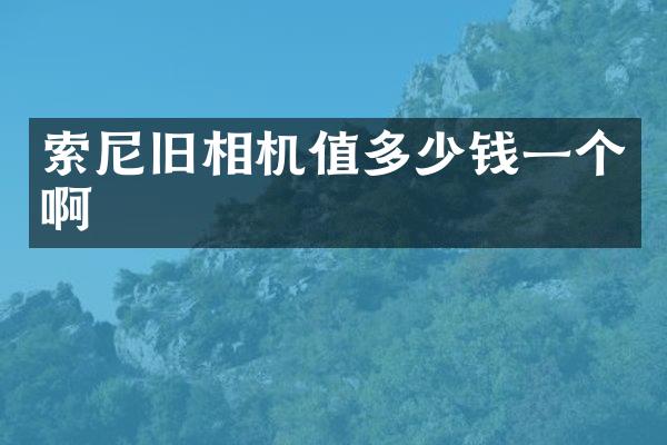 索尼旧相机值多少钱一个啊