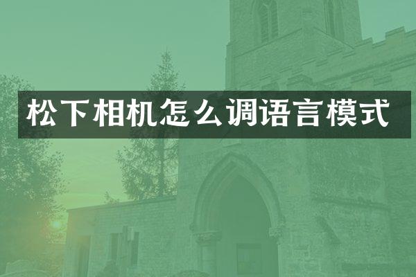 松下相机怎么调语言模式