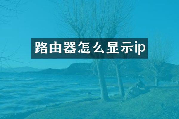 路由器怎么显示ip