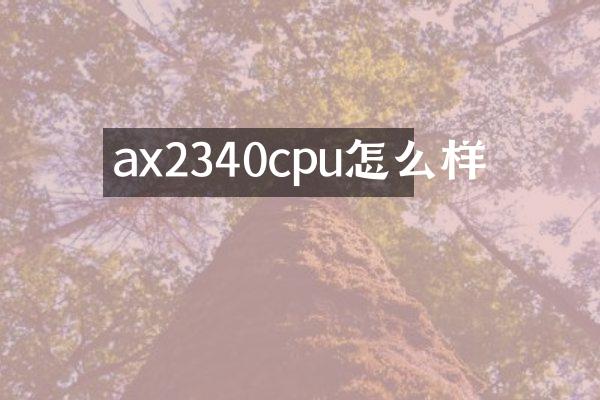ax2340cpu怎么样