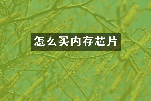 怎么买内存芯片