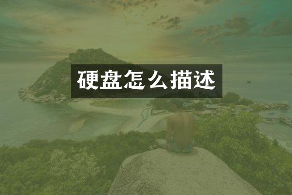 硬盘怎么描述