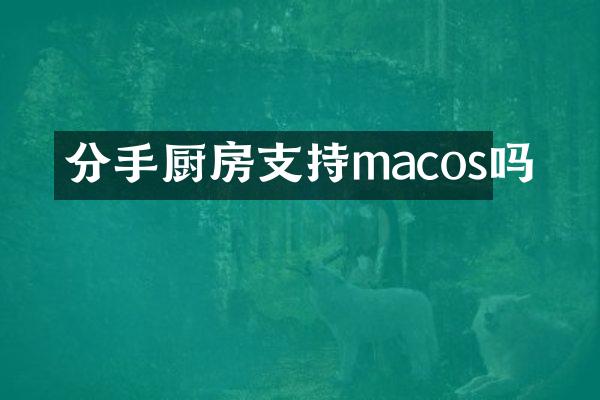 分手厨房支持macos吗