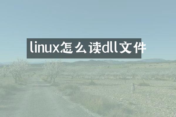 linux怎么读dll文件