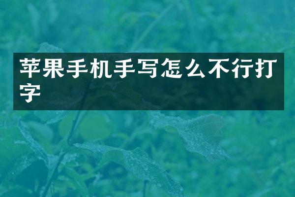 苹果手机手写怎么不行打字