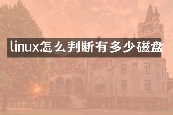 linux怎么判断有多少磁盘