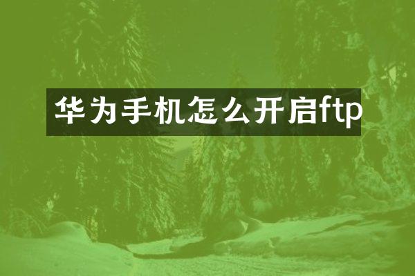 华为手机怎么开启ftp