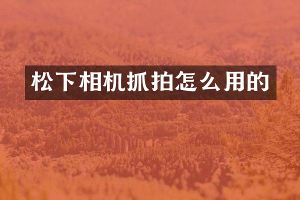相机抓拍怎么用的