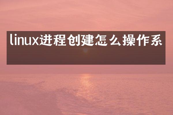 linux进程创建怎么操作系统