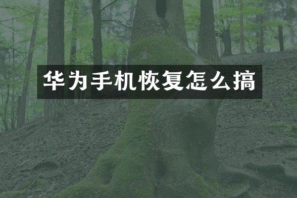 华为手机恢复怎么搞