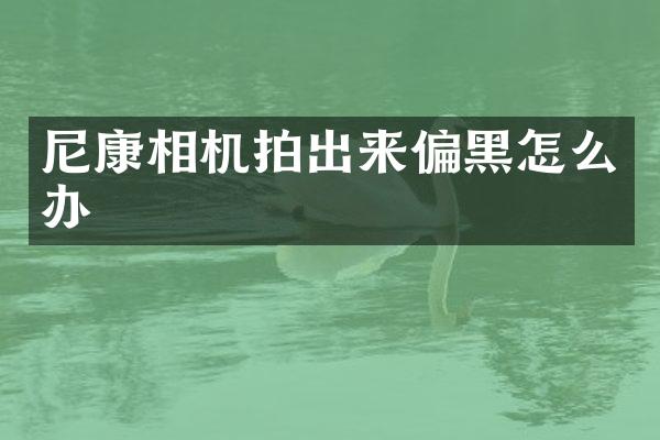 尼康相机拍出来偏黑怎么办