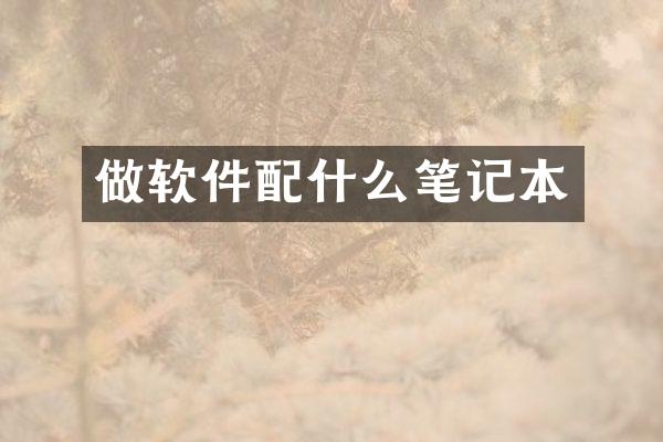 做软件笔记本