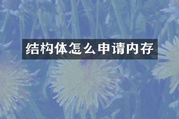 结构体怎么申请内存