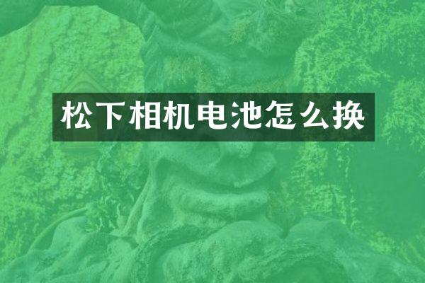 相机电池怎么换