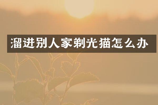 溜进别人家剃光猫怎么办