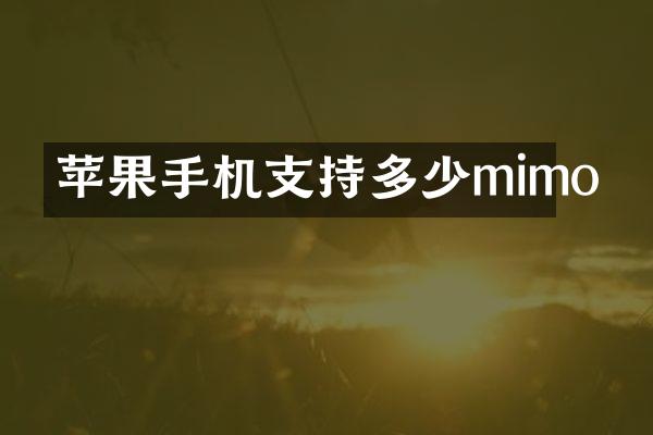 苹果手机支持多少mimo