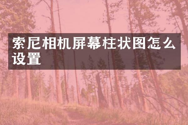 索尼相机屏幕柱状图怎么设置