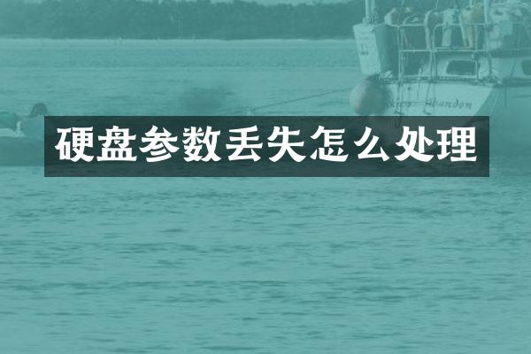 硬盘参数丢失怎么处理