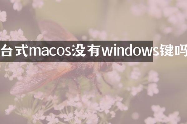 台式macos没有windows键吗