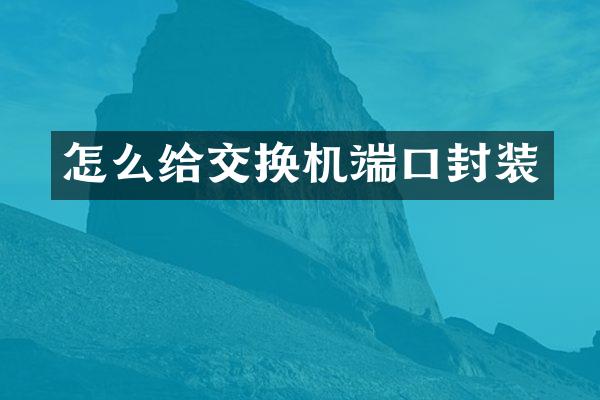 怎么给交换机端口封装