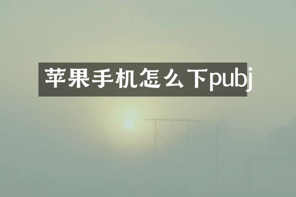 苹果手机怎么下pubj