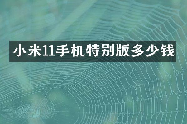 小米11手机特别版多少钱