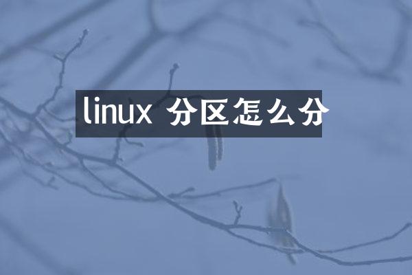 linux 分区怎么分