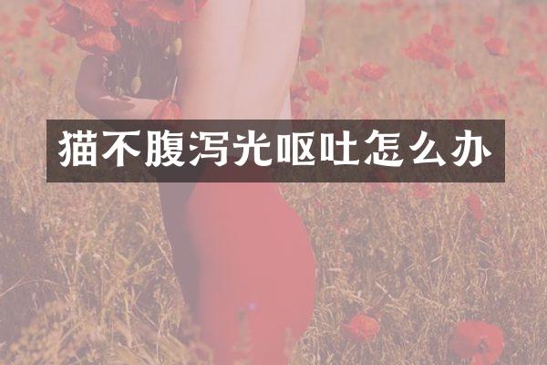 猫不腹泻光呕吐怎么办