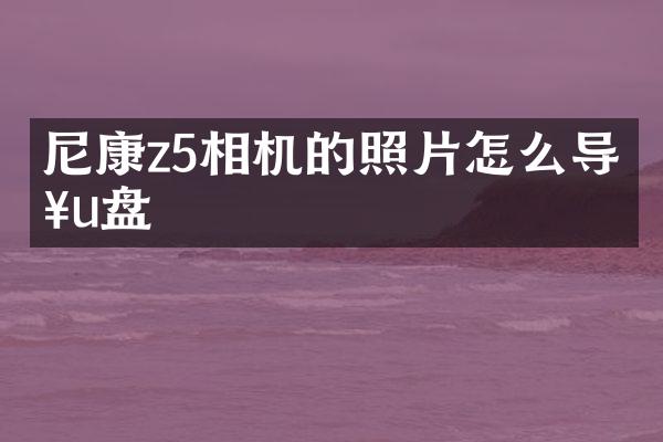 尼康z5相机的照片怎么导入u盘