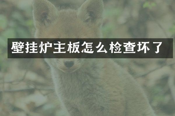 壁挂炉主板怎么检查坏了