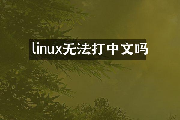 linux无法打中文吗