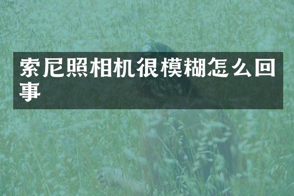 索尼照相机很模糊怎么回事