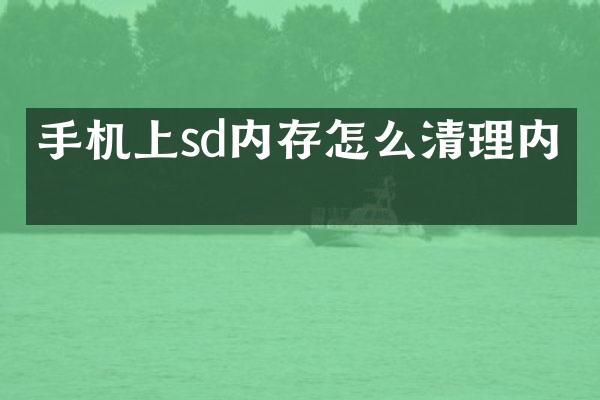 手机上sd内存怎么清理内存