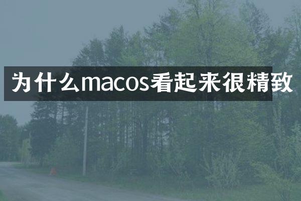 为什么macos看起来很精致