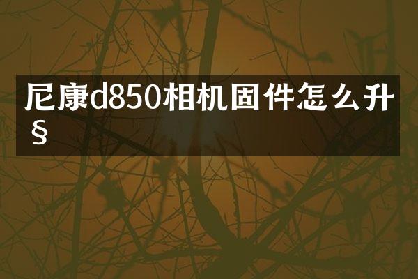 尼康d850相机固件怎么升级